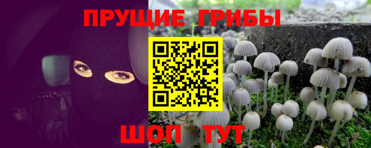 Галлюциногенные грибы мухоморы  Вход с VPN  как найти наркотики  Баксан 